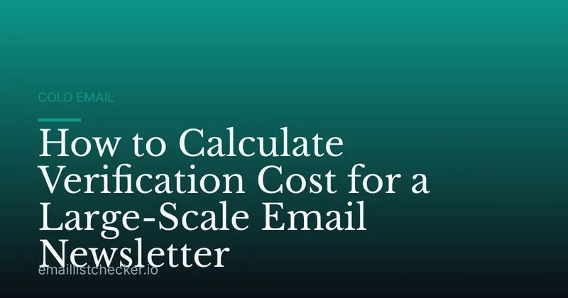 How to Calculate Verification Cost for a Large-Scale Email Newsletter