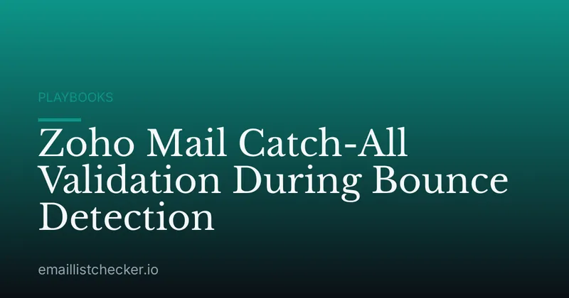 Zoho Mail Catch-All Validation During Bounce Detection