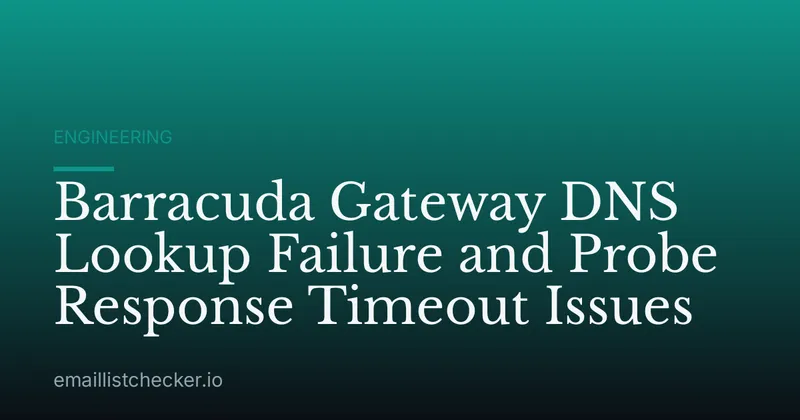 Barracuda Gateway DNS Lookup Failure and Probe Response Timeout Issues