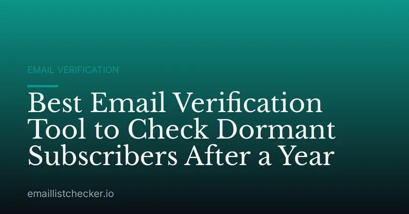 Best Email Verification Tool to Check Dormant Subscribers After a Year