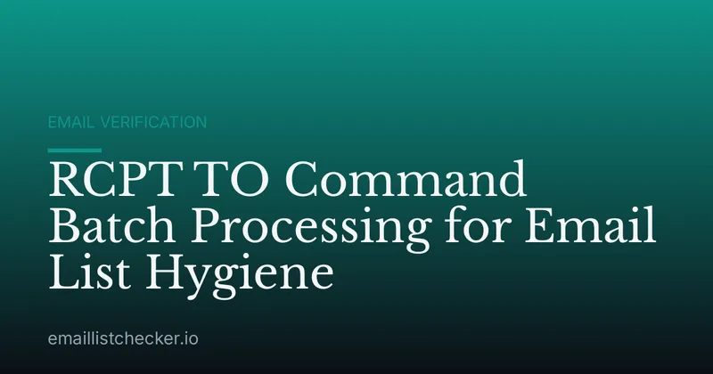RCPT TO Command Batch Processing for Email List Hygiene