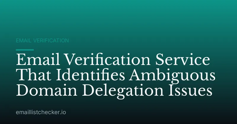 Email Verification Service That Identifies Ambiguous Domain Delegation Issues