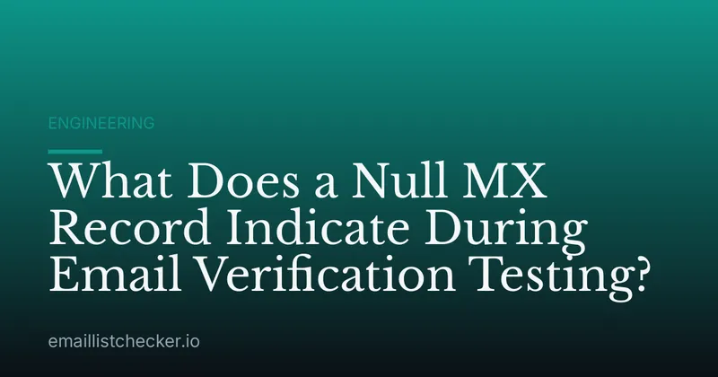 What Does a Null MX Record Indicate During Email Verification Testing?
