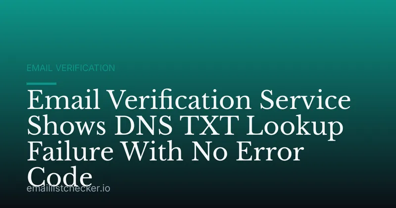 Email Verification Service Shows DNS TXT Lookup Failure With No Error Code