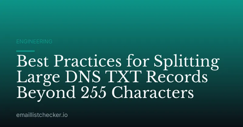 Best Practices for Splitting Large DNS TXT Records Beyond 255 Characters