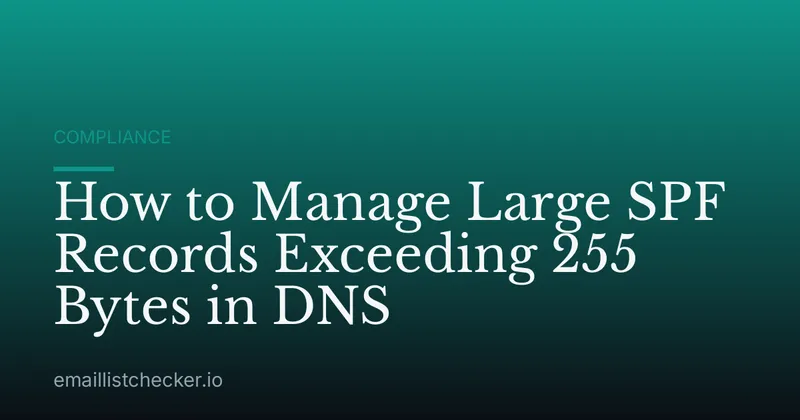 How to Manage Large SPF Records Exceeding 255 Bytes in DNS