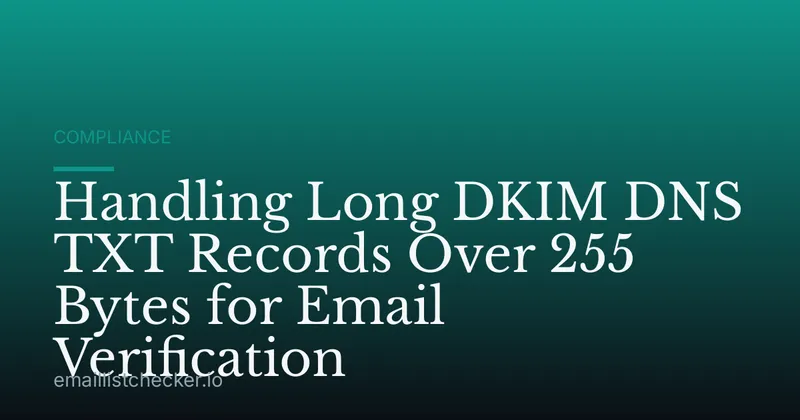 Handling Long DKIM DNS TXT Records Over 255 Bytes for Email Verification