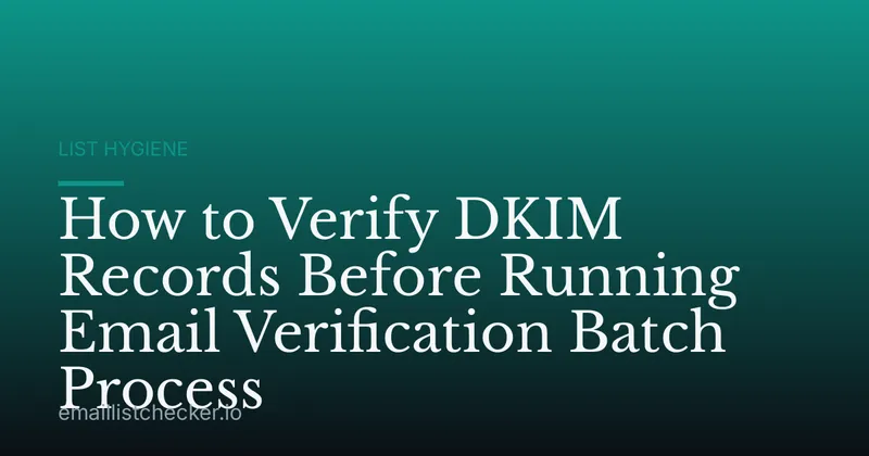 How to Verify DKIM Records Before Running Email Verification Batch Process