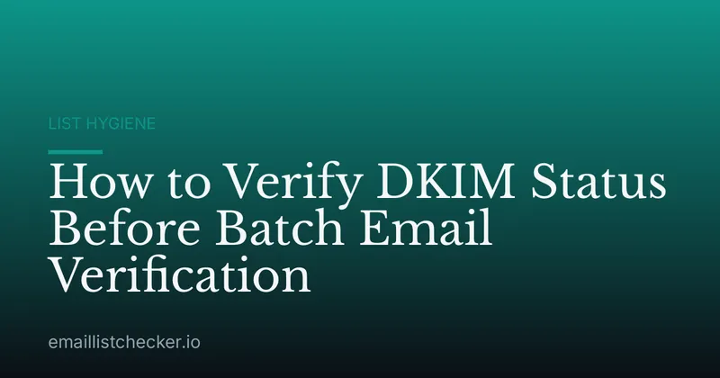 How to Verify DKIM Status Before Batch Email Verification