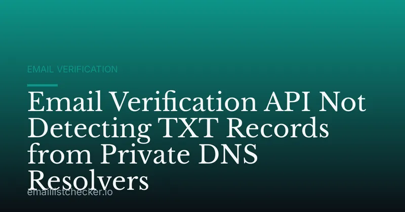 Email Verification API Not Detecting TXT Records from Private DNS Resolvers