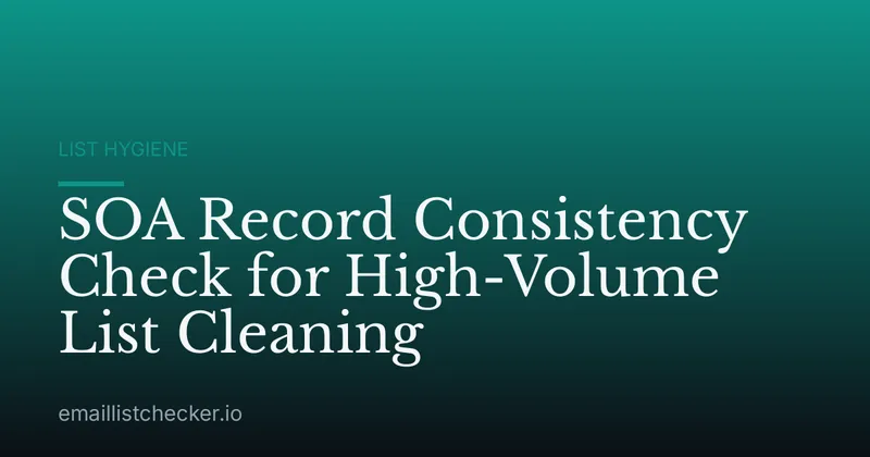 SOA Record Consistency Check for High-Volume List Cleaning