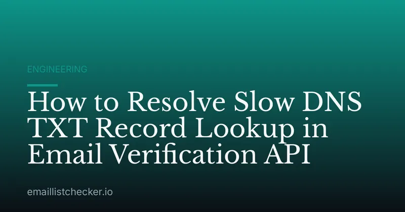 How to Resolve Slow DNS TXT Record Lookup in Email Verification API